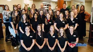 Madison Pet Clinic - Recruitment Video (Interview Cut)
