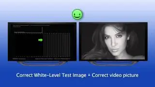 Burosch Black Level Test Pattern (eng.)
