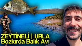 Gece Olta, Sabah Zıpkın! Zeytineli Balık Avı