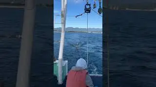 20231023 New Buoy Test (Failure)