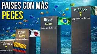 Pa&iacute;ses con M&aacute;s Peces del Mundo🐟 Nadie Esperaba al #1