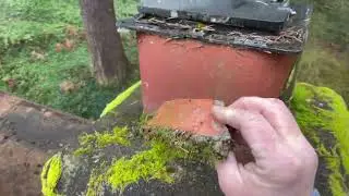 Flat Roof, Torch Down In A Wooded Area Of Bellvue, WA. Standing Water And Bad Chimney