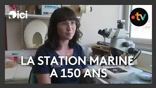 &Agrave; Wimereux, la Station Marine a 150 ans.