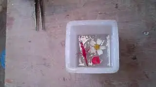 Encapsulado de flores frescas con resina cristal preparada