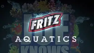 Reefsmart 2019