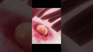 Ovulation & Implantation process #pregnancy #pregnancycare #shorts