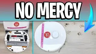 Roborock Curv 2 First Clean | Muddy Dog Prints Test