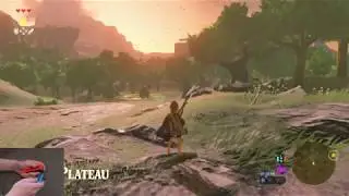 BotW Any% Beginner Tutorial Basics