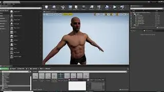 UE4 - Tutorial - Replacing your Mesh's Skeleton (Dcs/Alsv4/RPGI&I)