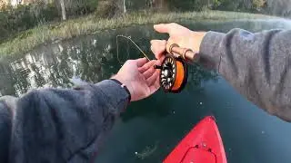 Crystal clear river fly fishing for bass and bluegill 