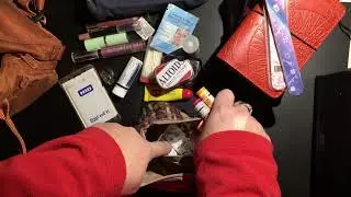 Vlogmas Dec 14, 2018, Whats in my Kanken & how I've set up my Chic Sparrow Waypoint Passport Wallet