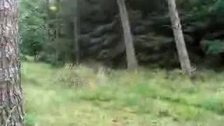 big downhill jump setmurthy cockermouth