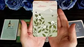 Find Your Career Path with This Pick a Card Intuitive Tarot Reading