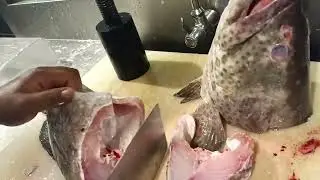 How to cut big fish/lerning fish cutting skill