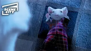 Stuart Receives a Warning from Snowbell | Stuart Little (Michael J. Fox, Hugh Laurie, Nathan Lane)