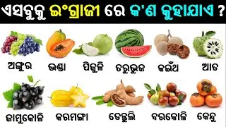 Basic English Odia words, word book | English odia dictionary | Word meaning practice | Fruits Name