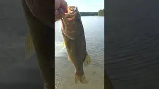 Fishing in New Hampshire  - 603B8TS