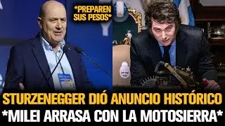 STURZENEGGER DIÓ ANUNCIO HISTÓRICO DE MILEI PARA ARRASAR CON LA MOTOSIERRA