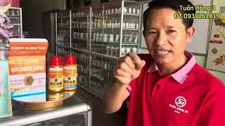 GOLDMITE 240SC ĐẶC TRỊ C&Aacute;C LOẠI NHỆN Đ&Atilde; KH&Aacute;NG THUỐC#caytrong#thuocbvtv#nongdan# TUẤN HẰNG 3