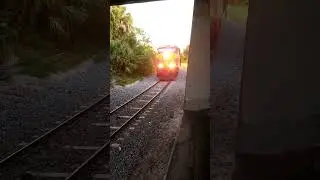 FEC 103 horns under a bridge