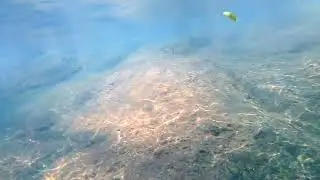 Underwater Beauty Video | #2