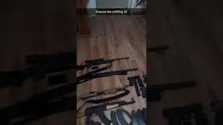 My end of the year 2020 gun collection so far