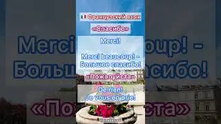 🇫🇷 Французский язык 🤗 &laquo;Спасибо&raquo;, &laquo;Пожалуйста&raquo;