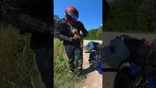 Biker Saves Cats