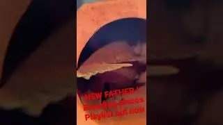 BREEDING PLECOS FOR PROFIT!