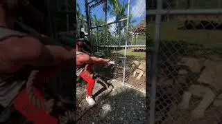 Bradley Martyn defeats a lion in a tug of war