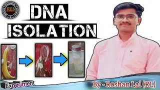 DNA isolation from banana | DNA extraction experiment | Isolating DNA experiment By - Roshan Lal 