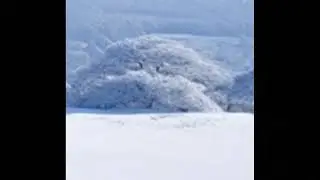 GDK - ICE COLD