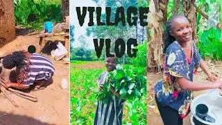 AFRICA VILLAGE VLOG: African Routine in the Village/Surprising my parents/ AFRICAN VILLAGE LIFE