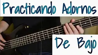 Adornos De Bajo Bass Corridos Nortenos Tierra Caliente 2