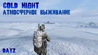 Химера Читер // DayZ Cold Night // Моменты Из Стрима