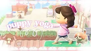 ✧˖° puppy yoga studio on my pink town core island! ✧˖° |Acnh speed build|