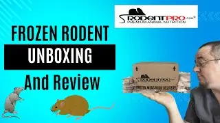 GETTING MY NEW PET RODENTS - RODENT PRO UNBOXING