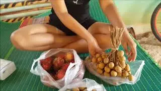 Rural life in Isan, Thailand.  chilli frog, yummy fruit and heavy rain.