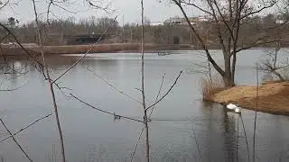 Another Trip to Beardsley Park in Bridgeport