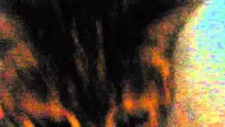 Mon chat et fain&eacute;ant 6