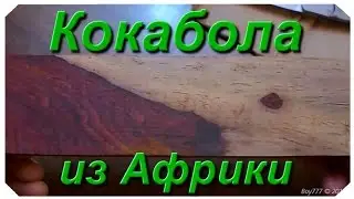 Африканская Посылка с Древесиной Кокабола 2015