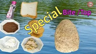 Fishing Bite/Top Rohu Mrigel grass Carp Etc Machli Ke Liye River Talab Dame Pukhuri Special 