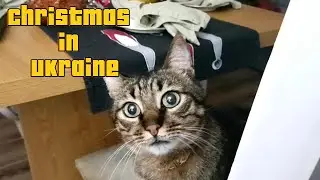 Christmas in Ukraine. Did the cat ruin everything?