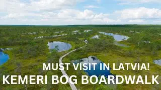 Walking Kemeri Bog Boardwalk One Of Must Visit Places In Latvia 4K | Latvia