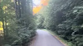 Bankettmaterial ab Baustelle durch den Wald Kommentarlos Purer Sound DAF XF Sattelkipper