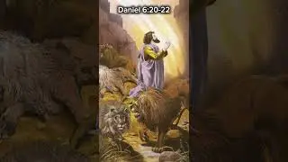 Daniel and the lions #jesus #gospel #bible #daniel #lions #faith #life #church #love