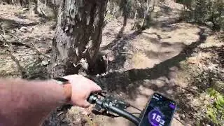 Cruising Jerra Trails on an Obea Wild | Smooth E-MTB POV