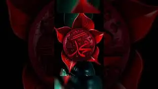 Muhammad name dpz |Muhammad name wallpaper| #wallpaper #allahdp#muhammad#viral #shorts#viralshorts