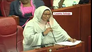 Senator Fatuma Dullo fights for Muslims slot in IEBC selection panel