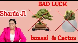 The Plants that Brings Bad Luck,Poverty And Negative Energy In Life | Sharda Astrologer |